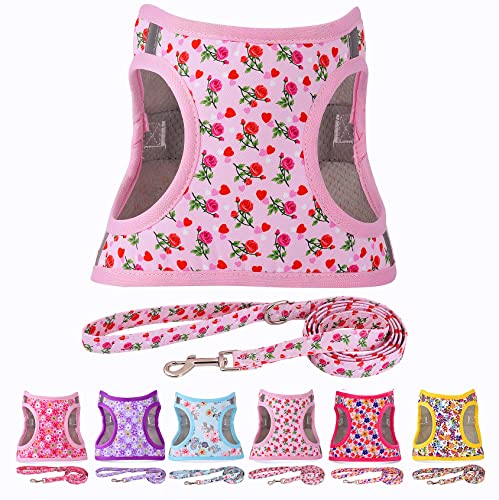 Moonpet Step in Air Dog Harness Leash Set- All Weather Reflective No-Pull Floral Pattern Padded Mesh Vest Harness for Cats Puppy Extra-Small Small Medium Large Dogs - Heart Rose - M