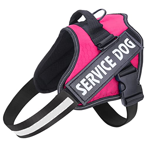Different Dog Harnesses 2023 - Vet Ranch - We Love Pets