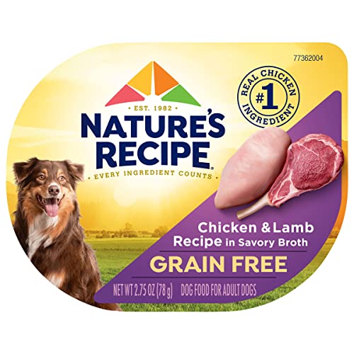 Nature's Recipe Grain Free Wet Dog Food, Chicken & Turkey Recipe, 2.75 Ounce Cup (Pack of 12)