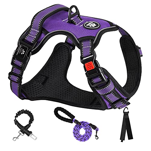 NESTROAD No Pull Dog Harness,Adjustable Oxford Dog Vest Harness with Leash,Reflective No-Choke Pet Harness with Easy Control Soft Handle for Small Medium Dogs(Medium,Purple)