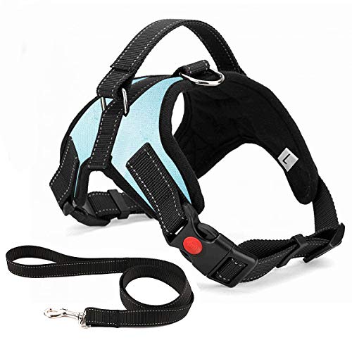 No Pull Dog Harness, Breathable Adjustable Comfort, Free Leash Included, for Small Medium Large Dog, Best for Training Walking LightBlue XL