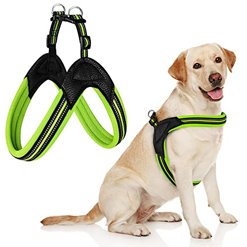 No Pull Dog Harness, Step in Reflective Mesh Padded Dog Vest Harness, No Choke Adjustable Dog Harness with 2 Buckles, Easy Walk for Medium Large Dog Green