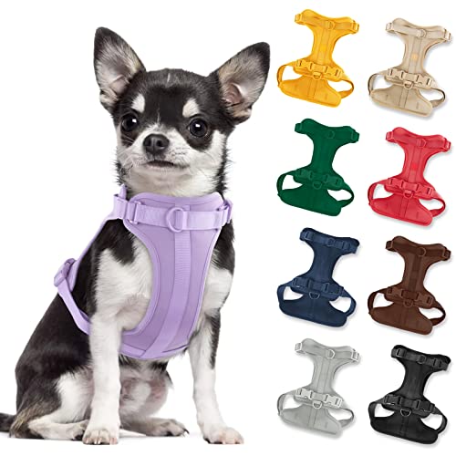 No Pull Lightweight Dog Harness: Adjustable Durable Breathable Mesh Pet Vest Harness with Soft & Comfortable Cushion, for Small Medium Large Dogs (S, Lilac)