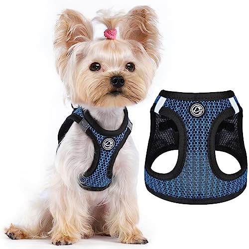 Extra Extra Small Dog Harness 2024 Vet Ranch We Love Pets   No Pull Small Dog Harness For Under 22lbs Dogs Step In Air Mesh Puppy 