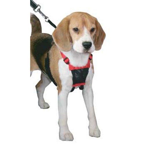 Non - pulling Mesh Harness Med Black