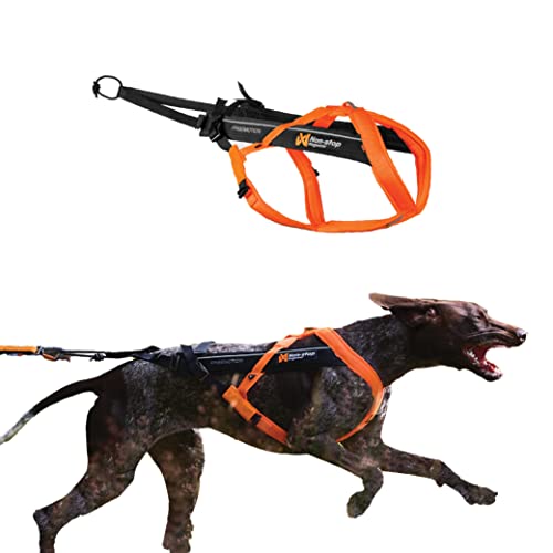 Non-stop dogwear Freemotion Harness 5.0 Dog Pulling Harness for Sports Like Running, Biking and Skiing with Dogs, Professional Adjustable Dog Harness, Orange/Black, Size 8