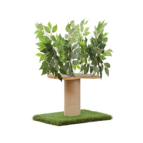 On2 Pets 2ft Interchangeable Leaves Kitty Tree with Scratching Post, Cat Activity Condo Made in USA with Love and Care