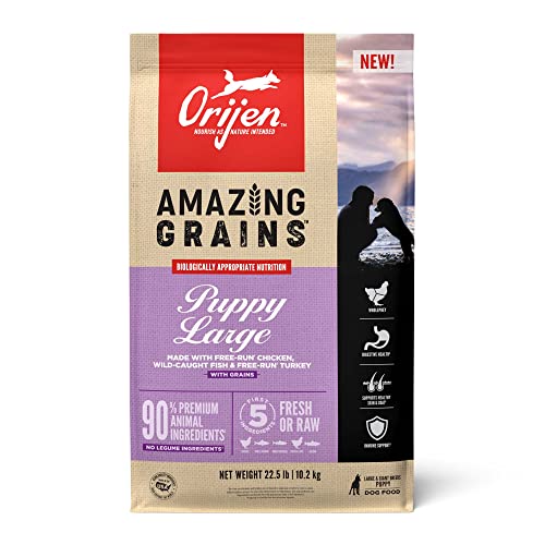 ORIJEN AMAZING GRAINS Puppy Large Dry Dog Food, High Protein Dog Food for Large and Giant Puppy Breeds, Fresh or Raw Ingredients, 22.5lb