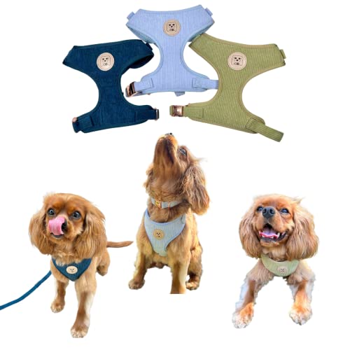 Otie Bear Luxury Dog Walking Set, Harness Collar and Leash, No Pull, Escape Proof, Adjustable Harness, Aesthetic, Soft and Breathable Corduroy in XSmall, Small, Medium, Large, XLarge, Designer Set