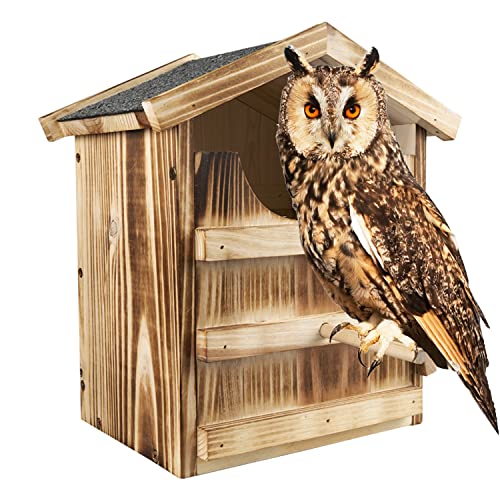 Owl Bird Bath 2024 Vet Ranch We Love Pets   Owl House Barn Owl Bird Houseowl Nesting Boxlarge Handmade Wooden 