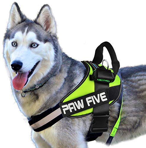 Paw Five CORE-1 Dog Harness, Reflective No-Pull with Built-in Waste Bag Dispenser, Fully Adjustable with Padded Control Handle for Medium and Large Dogs, (X-Large (Girth: 39" - 48"), Leaf Green)…