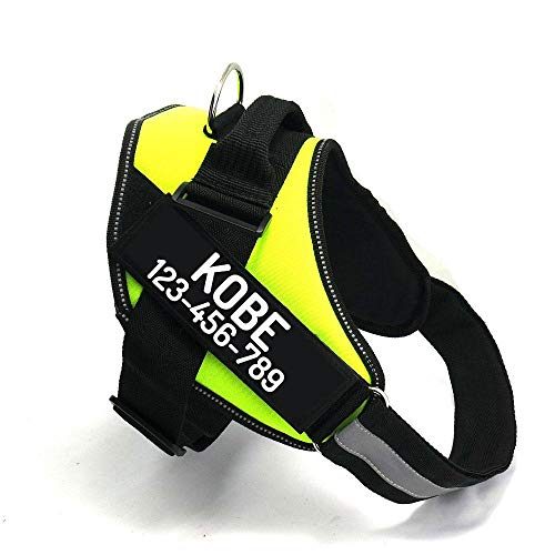 PawPawify Custom No Pull Dog Harness with Name and Phone Number, Heavy Duty Personalized Pet Vest to Prevent Tugging, Pulling, or Choking, Training and Walking