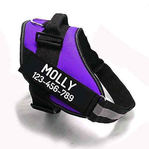 PawPawify Custom No Pull Dog Harness with Name and Phone Number, Heavy Duty Personalized Pet Vest to Prevent Tugging, Pulling, or Choking, Training and Walking