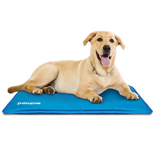 Pawple Dog Cooling Mat Pet Pad for Kennels, Crates and Beds, Thick Foam Base 44" x 32"