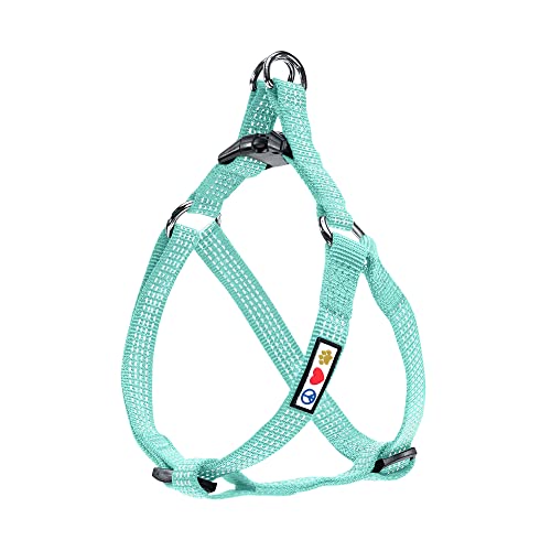 Pawtitas Reflective Step in Dog Harness or Reflective Vest Harness, Comfort Control, Training Walking of Your Puppy/Dog Small Dog Harness S Teal Dog Harness