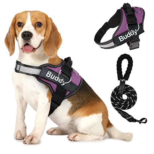 Personalized Dog Harness for Medium Dogs No Pull, Suitho Service Dog Vest Harness and Leash Set, Reflective in Training Vest Adjustable Dog Harnesses with Padded Handle (Purple, Small)