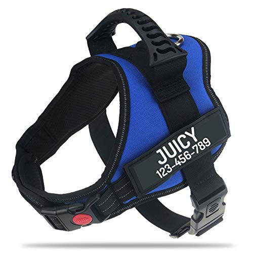 Personalized No Pull Dog Harness with Custom Name and Phone Number by PawPawify, Heavy Duty Pet Vest to Prevent Tugging, Pulling, or Choking, Training and Walking S Chest 20-25in Blue