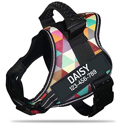 Personalized No Pull Dog Harness with Custom Name and Phone Number by PawPawify, Heavy Duty Pet Vest to Prevent Tugging, Pulling, or Choking, Training and Walking XS Chest 17-22in Color Grid