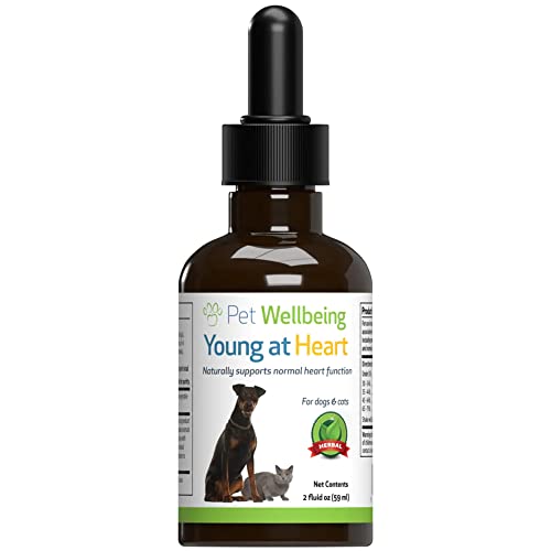 Pet Wellbeing Young at Heart for Cats - Vet-Formulated - Supports Cardiovascular (Heart & Circulatory) Health - Natural Herbal Supplement 2 oz (59 ml)