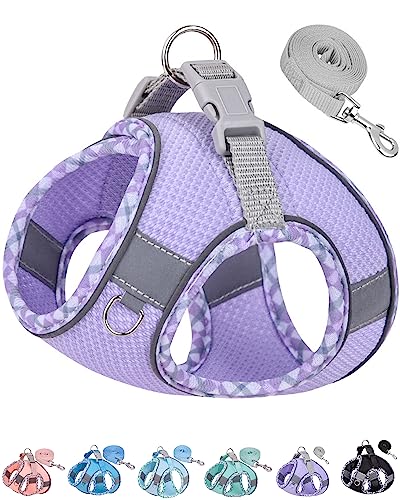 Petank Dog Harness for Small Medium Dogs No Pull, Puppy Harness and Leash Set, Easy Walk Dog Harness for Walking, Running, Training, Small Dog Harness, Medium Dog Harness (Purple, XS)