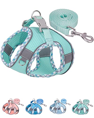 Petank Dog Harness for Small Medium Dogs No Pull, Puppy Harness and Leash Set, Easy Walk Dog Harness for Walking, Running, Training, Small Dog Harness, Medium Dog Harness (Green, XS)