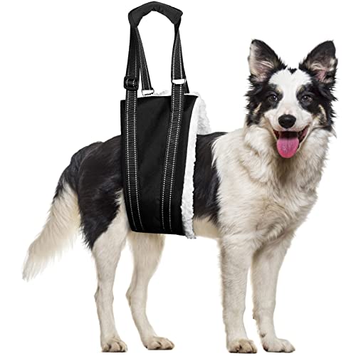 Petbobi Dog Sling for Large Dogs Hind Leg Support, Dog Lift Harness for Back Legs to Lift Dogs Rear Assist The Dog Who are Senior, Injured, Disabled or after ACL Surgery, fit for Large Unisex Dogs