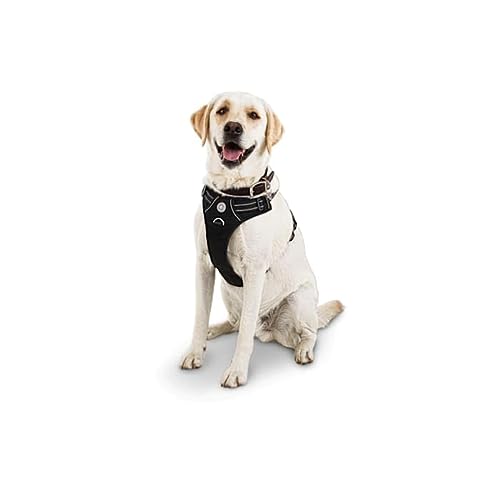 Petco Brand - Good2Go Black Front Walking Dog Harness, X-Large/XX-Large