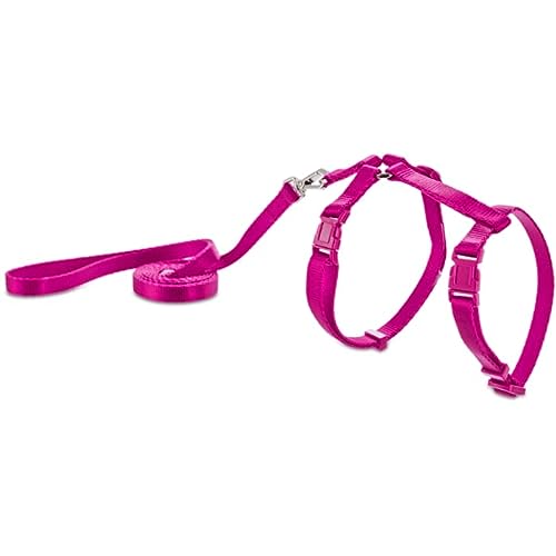 Petco Brand - Good2Go Pink Kitten Harness and Lead Set, X-Small
