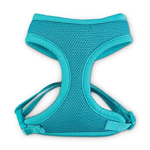 Petco Brand - Good2Go Teal Cat Harness and Leash Set, Standard