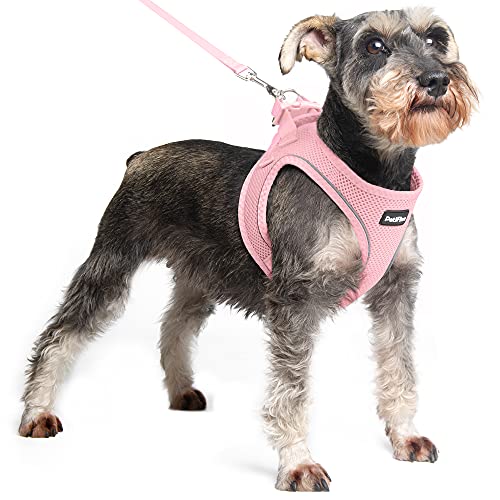 PetiFine Step in Small Dog Harness and Leash Set, Breathable All Weather Air Mesh Reflective Escape Proof, Step-in Vest Harnesses for Puppy(M, Pink)