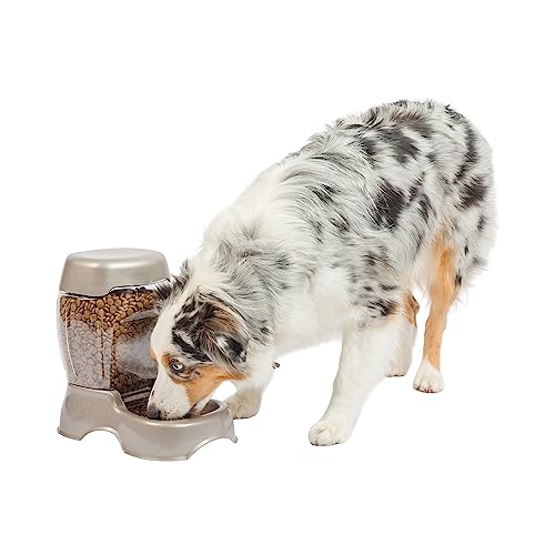 Petmate Pet Cafe Feeder Dog and Cat Feeder Pearlescent Colors 3 Sizes