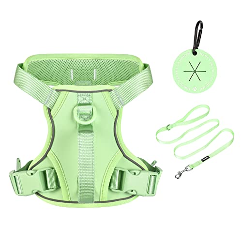 Petmolico Dog Harness for Small Dogs No Pull, Cute Dog Harness with Two Leash Clips and Soft Handle, Reflective Easy Walk Dog Harness with Leash, Mint Green Small