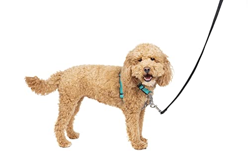 PetSafe 3 in 1 No-Pull Dog Harness - Walk, Train or Travel - Helps Prevent Pets from Pulling on Walks - Seatbelt Loop Doubles as Quick Access Handle - Reflective Accents - Small, Teal