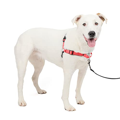 PetSafe Easy Walk Deluxe Dog Harness, No Pull Dog Harness – Perfect for Leash & Harness Training – Stops Pets from Pulling and Choking on Walks – Medium/Large, Rose