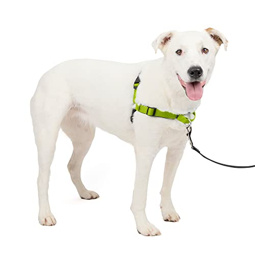 PetSafe Easy Walk Deluxe Dog Harness, No Pull Dog Harness – Perfect for Leash & Harness Training – Stops Pets from Pulling and Choking on Walks – Medium/Large, Apple