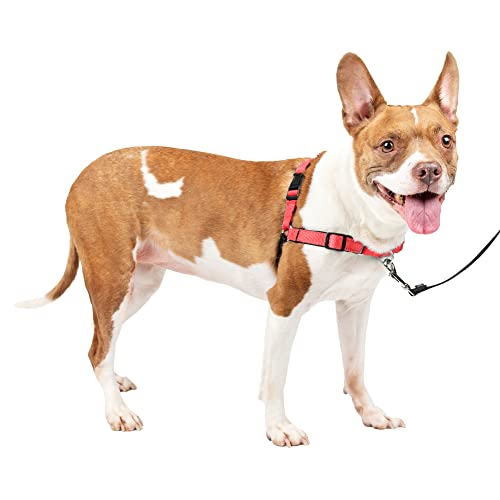 PetSafe Easy Walk Deluxe Dog Harness, No Pull Dog Harness – Perfect for Leash & Harness Training – Stops Pets from Pulling and Choking on Walks – Medium, Rose