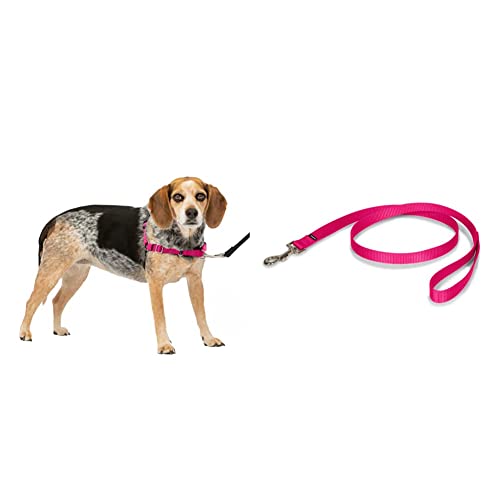 PetSafe Easy Walk No-Pull Dog Harness & Teach Better Leash Manners, Small/Medium, Raspberry/Gray & Nylon Dog Leash, 3/4 in. x 3 ft, Raspberry Pink