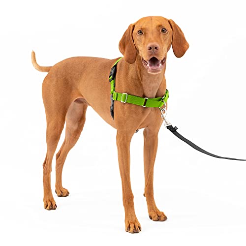 PetSafe Easy Walk No-Pull Dog Harness - The Ultimate Harness to Help Stop Pulling - Take Control & Teach Better Leash Manners - Helps Prevent Pets Pulling on Walks - Medium, Apple Green/Gray