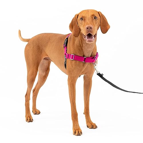 PetSafe Easy Walk No-Pull Dog Harness - The Ultimate Harness to Help Stop Pulling - Take Control & Teach Better Leash Manners - Helps Prevent Pets Pulling on Walks - Medium, Raspberry/Gray