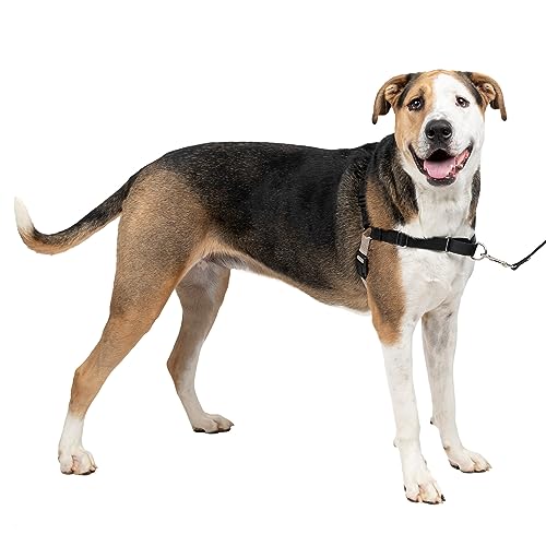 PetSafe Easy Walk No-Pull Dog Harness - The Ultimate Harness to Help Stop Pulling - Take Control & Teach Better Leash Manners - Helps Prevent Pets Pulling on Walks - X-Large, Black/Silver