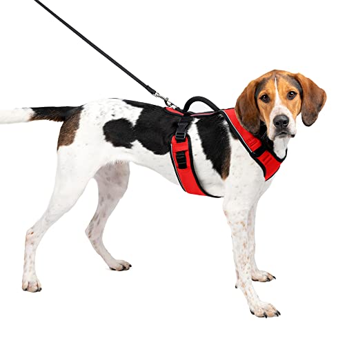 PetSafe EasySport Dog Harness, Adjustable Padded Dog Harness with Control Handle and Reflective Piping, From the Makers of the Easy Walk Harness