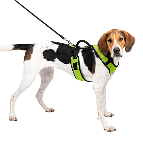 PetSafe EasySport Dog Harness, Adjustable Padded Dog Harness with Control Handle and Reflective Piping, From the Makers of the Easy Walk Harness Apple Green Large