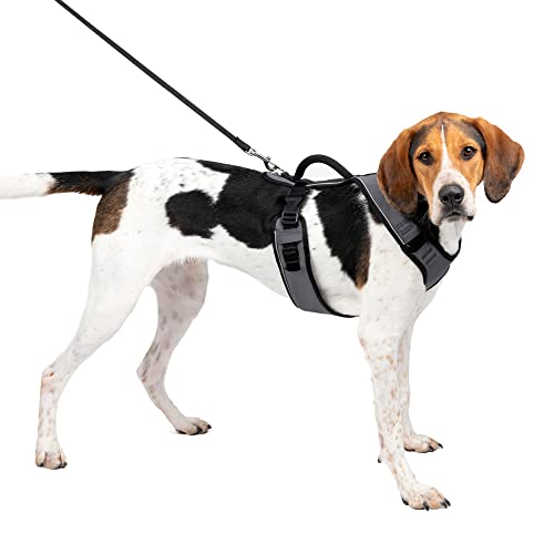 PetSafe EasySport Dog Harness - Padded, Adjustable Dog Harness with Control Handle and Reflective Piping - Great for Active Dogs - from The Makers of The Easy Walk Harness - Large, Charcoal