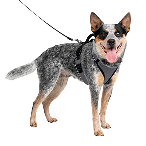 PetSafe EasySport Dog Harness - Padded, Adjustable Dog Harness with Control Handle and Reflective Piping - Great for Active Dogs - from The Makers of The Easy Walk Harness - Medium, Charcoal