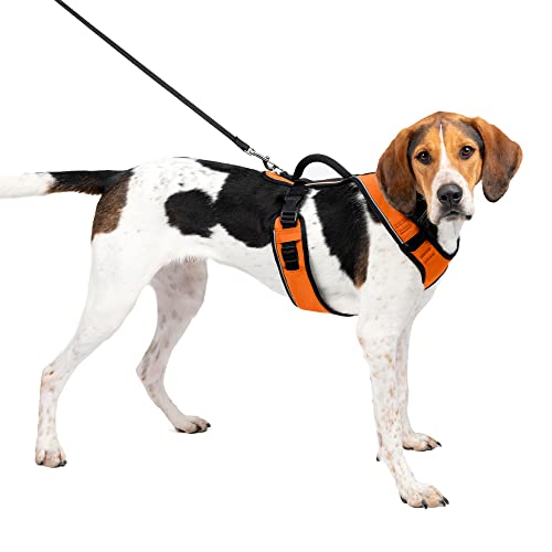 PetSafe EasySport Harness, Adjustable Padded Dog Harness with Control Handle and Reflective Piping, from The Makers of The Easy Walk Harness Orange Large