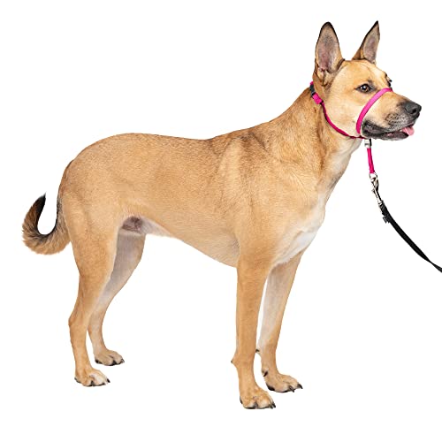 PetSafe Gentle Leader No-Pull Dog Headcollar - The Ultimate Solution to Pulling - Redirects Your Dog's Pulling For Easier Walks - Helps You Regain Control - Medium , Raspberry Pink