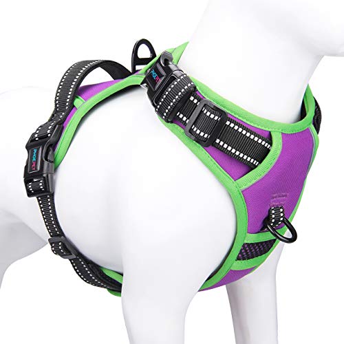 PHOEPET 2019 Upgraded No Pull Dog Harness, Reflective Adjustable Vest, with a Training Handle + 2 Metal Leash Hooks+ 3 Snap Buckles +4 Slide Buckles(S, Purple)