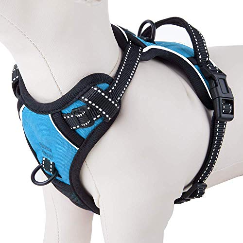 PHOEPET No Pull Dog Harnesses for Small Puppies Reflective Adjustable Front Clip Vest with 2 Metal Leash Attachment Hooks Soft Handle(S, Blue)