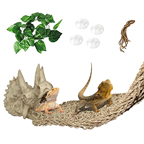 PINVNBY Bearded Dragon Tank Accessories Reptiles Resin Dinosaur Triceratops Skull Hide Lizard Habitat Hammock Amphibians Hideouts Cave Decorations for Lizards Spider Gecko Chameleon Snake Frog