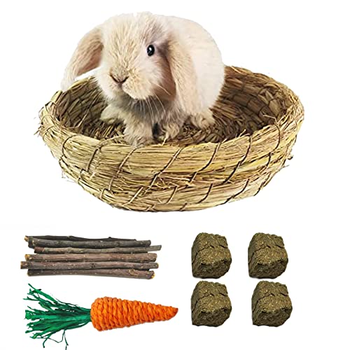 Healthiest Bunny Bedding 2024 - Vet Ranch - We Love Pets